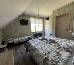 Двухместный стандарт с дополнительным местом в Пихтовый бор