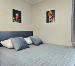 Двухместная студия Economy с красивым видом из окна двуспальная кровать в Барсук