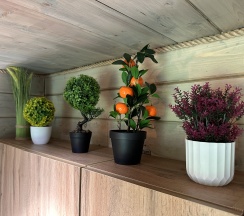 Дом в У друзей