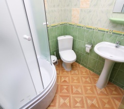 Двухместный номер Standard двуспальная кровать в Желе