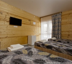 Стандарт 3х местный в Белая Деревня