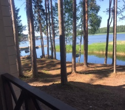 VIP Коттедж Forest с сауной в West