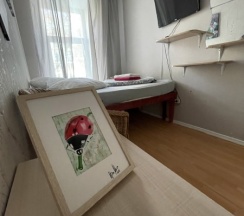 Двухместный стандарт в ARTIST