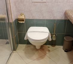 Апартаменты с просторной спальней, обеденной зоной и балконом в My Favourite Garden Hotel