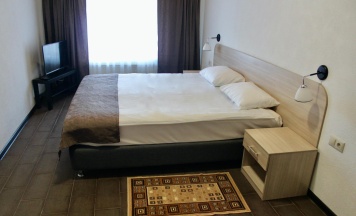 Номер стандарт с 1 двуспальной кроватью в Спас-Каменка