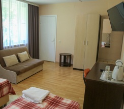 Полулюкс в Вятичи Eco Resort&Medical SPA