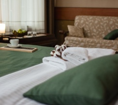 Номер люкс с 1 двуспальной кроватью в Калина