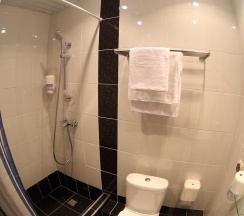 Номер стандарт с 2 односпальными кроватями (с завтраком) в Тамбовская