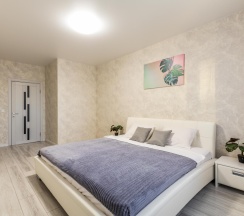 3-комнатные апартаменты люкс в DreamHouse (ДримХаус) на улице Братская 27 корпус 3