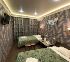 Двухместный номер Deluxe 2 отдельные кровати в Комфорт