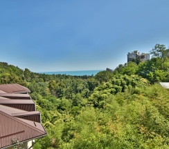 Номер стандарт, 23 м² в Delsochi