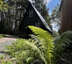 A-frame house в A-frame