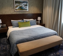 Комфорт DOUBLE в Art hotel