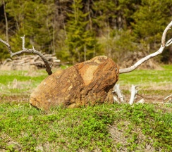 Дом в Lberry Karelia