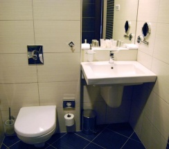 Двухместный номер Standard двуспальная кровать в Regnum Residence