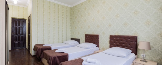Трехместный эконом ( номер трехместный с тремя  отдельными 1,5 спальными кроватями ) в Sамвилла