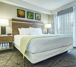 Люкс c 1 комнатой в Desert Rose Resort