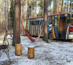ICADOMRUS в ГНЕЗДО