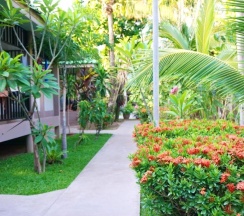 Одноместное бунгало в Lamai Inn 99 Bungalows