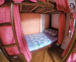 Кровать в общем номере (женский номер) в Red Monkey Hostel: Barra Funda