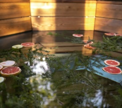 Семейный коттедж с балконом в В кронах