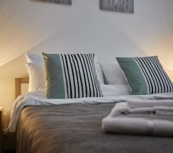 Двухместный номер Комфорт с двуспальной кроватью в Moi Smolny