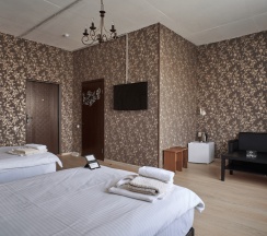 Номер стандарт с 2 односпальными кроватями в Villa santarina
