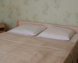 Номер полулюкс с 1 двуспальной кроватью в Славгород