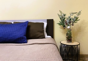 Апартаменты Апартаменты на Садовая 10а в Зеленоградске