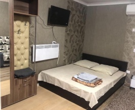 Номер стандарт с 1 двуспальной кроватью в Астория