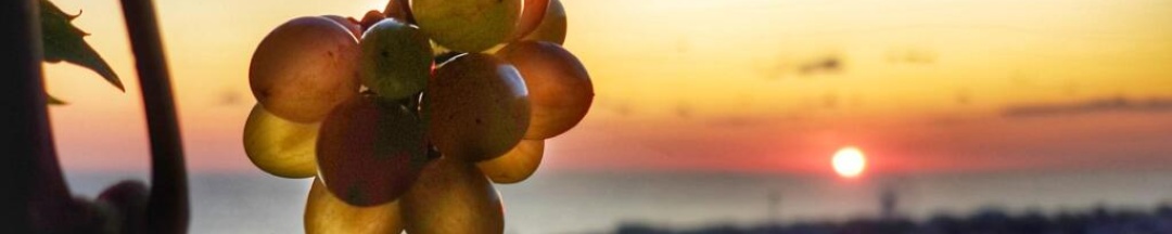 Номер Standard в Гостевой дом