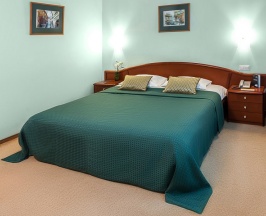 Стандартный номер в Александровский сад