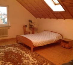 Стандартный номер в мансарде в Надежда