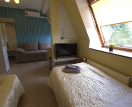 Улучшенная двухместная комната с общей ванной в Орловский дом