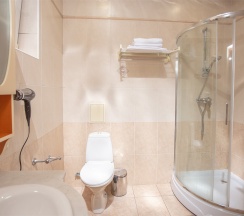 Люкс-Комфорт (Люкс) в Альмира By Orion Hotels