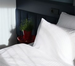 № 301 Двухместный номер "Делюкс" в разМалевиch