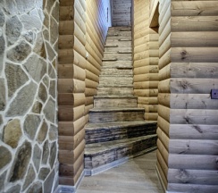 WILD 28 в Exclusive Hotel&Apartments