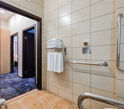 Стандарт Комфорт 2-комнатный для маломобильных гостей (Handicapted Comfort two-room) в Екатерининский квартал