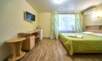 Стандарт двухместный 1 в Волгоградская