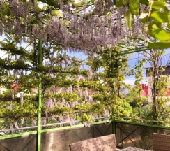 Двухместный номер Superior двуспальная кровать в Наш дом