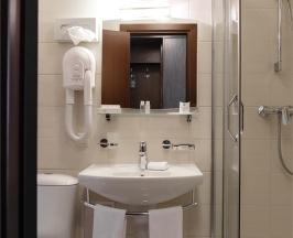 Стандарт  двухместный (вид на лес) в Парк Отель