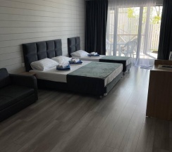 4-местная комната стандарт в Притяжение