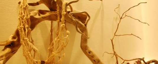 Двухместный номер Classic (Без окна) двуспальная кровать в Royal