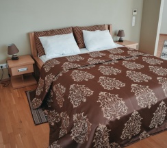 Двухместная студия с красивым видом из окна двуспальная кровать в Diana Palace