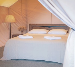 Глэмпинг в Ковчег