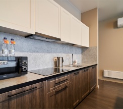 Business Suite в Radius Central House by Огни Rent