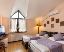 Двухместный номер Standard 2 отдельные кровати в Сарайшық