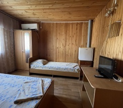 Номер эконом (мансарда) в Аист