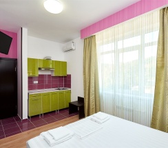 Делюкс 2-х местный без балкона в Диса