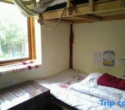 Кровать в общем номере (женский номер) в Up In The Air Youth Hostel